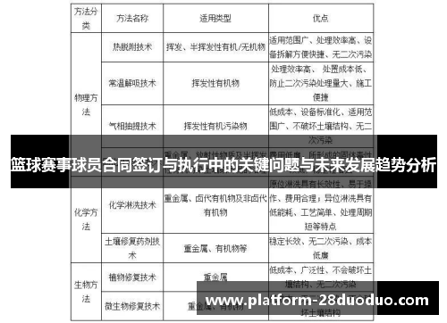 篮球赛事球员合同签订与执行中的关键问题与未来发展趋势分析
