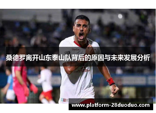 桑德罗离开山东泰山队背后的原因与未来发展分析