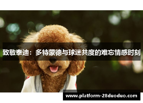 致敬泰迪:多特蒙德与球迷共度的难忘情感时刻 致敬泰迪:多特蒙德与球迷共度的难忘情感时刻