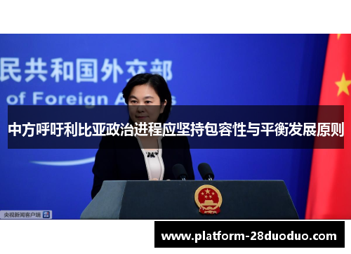 中方呼吁利比亚政治进程应坚持包容性与平衡发展原则 中方呼吁利比亚政治进程应坚持包容性与平衡发展原则