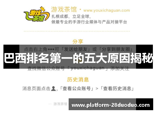 巴西排名第一的五大原因揭秘